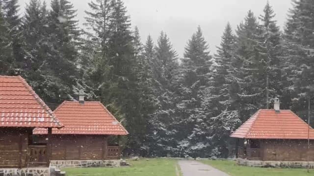 Foto:GZS ilustacija