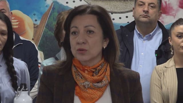 Odbornica i potpredsednica Gradskog odbora Narodne stranke u Čačku Violeta Marković, foto: GZS