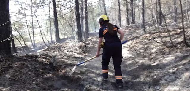 Šumski požar – foto: Jovan Nikolić