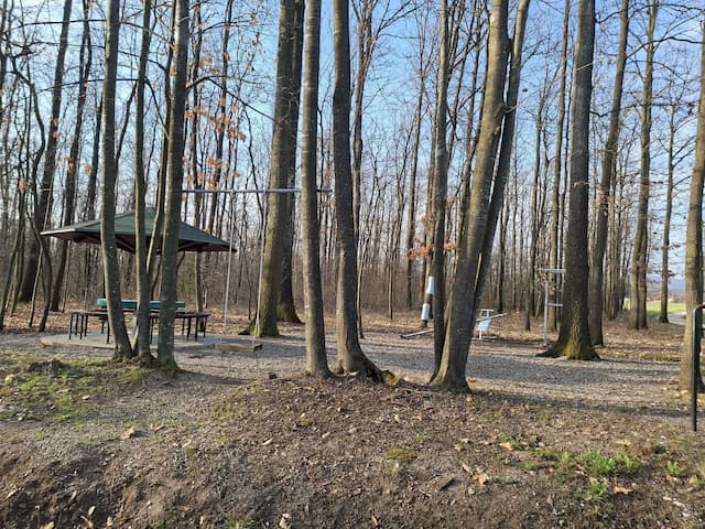 Foto: GZS / M. Sokić