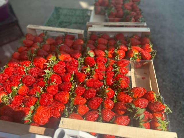 Stigle i prve jagode na čačansku pijacu, foto: 4N Studio