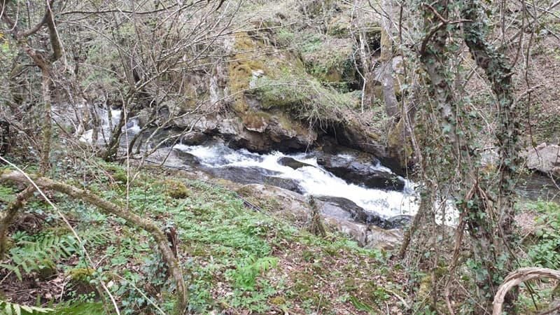 image-gallery-item