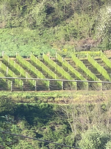 oglas-slika