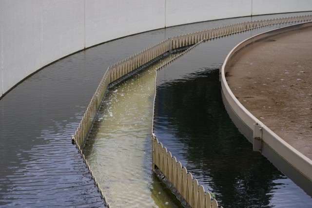 image-gallery-item