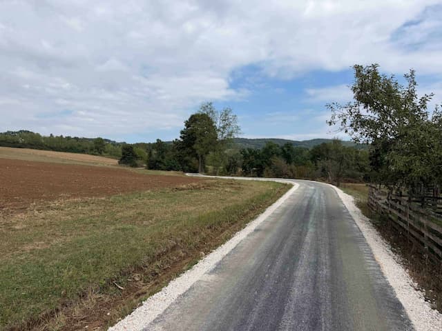 Foto: Kabinet predsednika opštine Gornji Milanovac