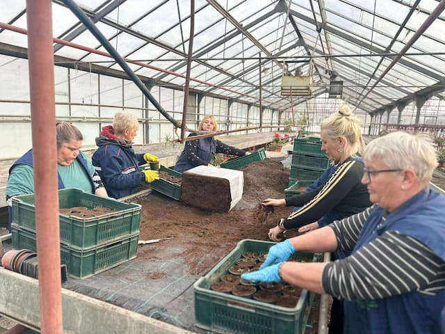 Gradsko zelenilo započelo prolećnu setvu, foto: 4N Studio