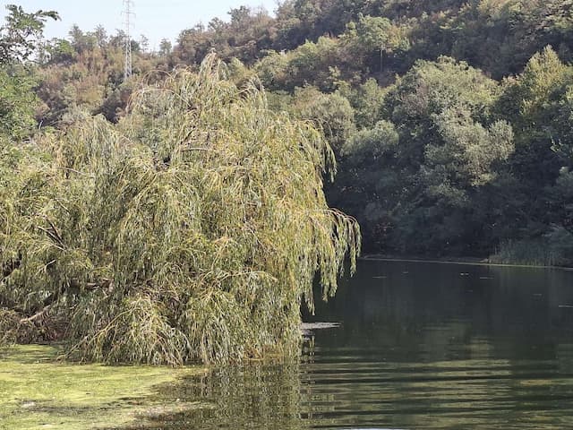 Foto: GZS/ Milena Sokić