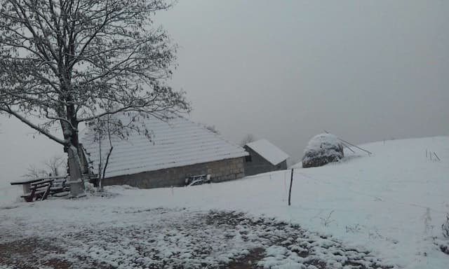 Danas vetrovito i hladnije, narednih dana ledeni dani, Foto: GZS