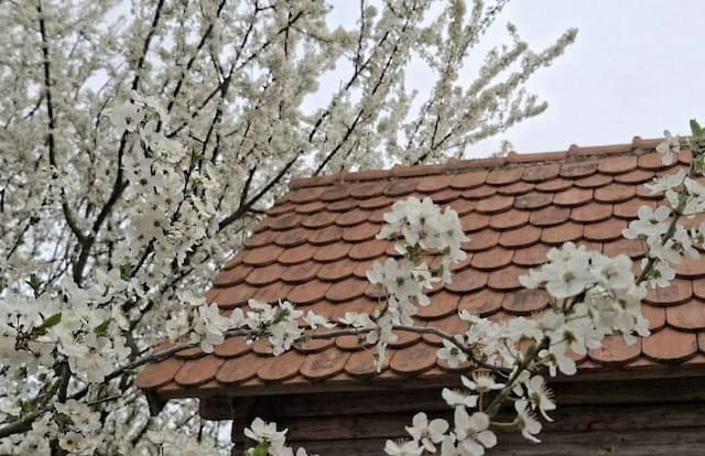 Stiže proleće, Lipnica, foto: GZS/M. Sokić
