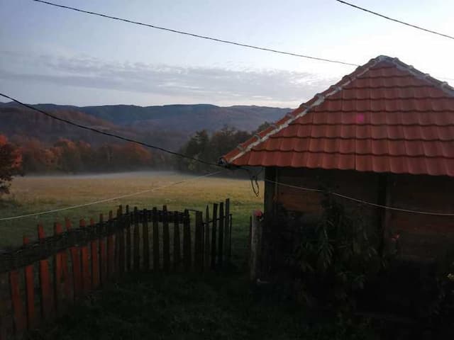 Foto: GZS/ Milena Sokić
