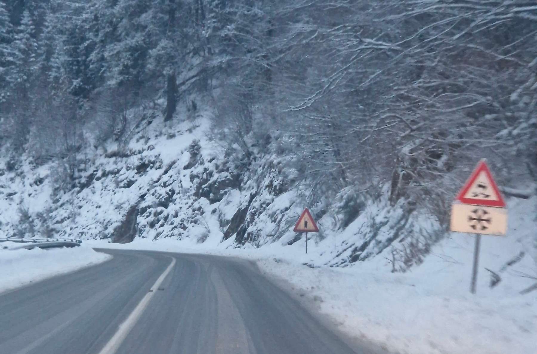 GLAS ZAPADNE SRBIJE - Sneg padao na Zlatiboru putari čitavu noć bili na terenu