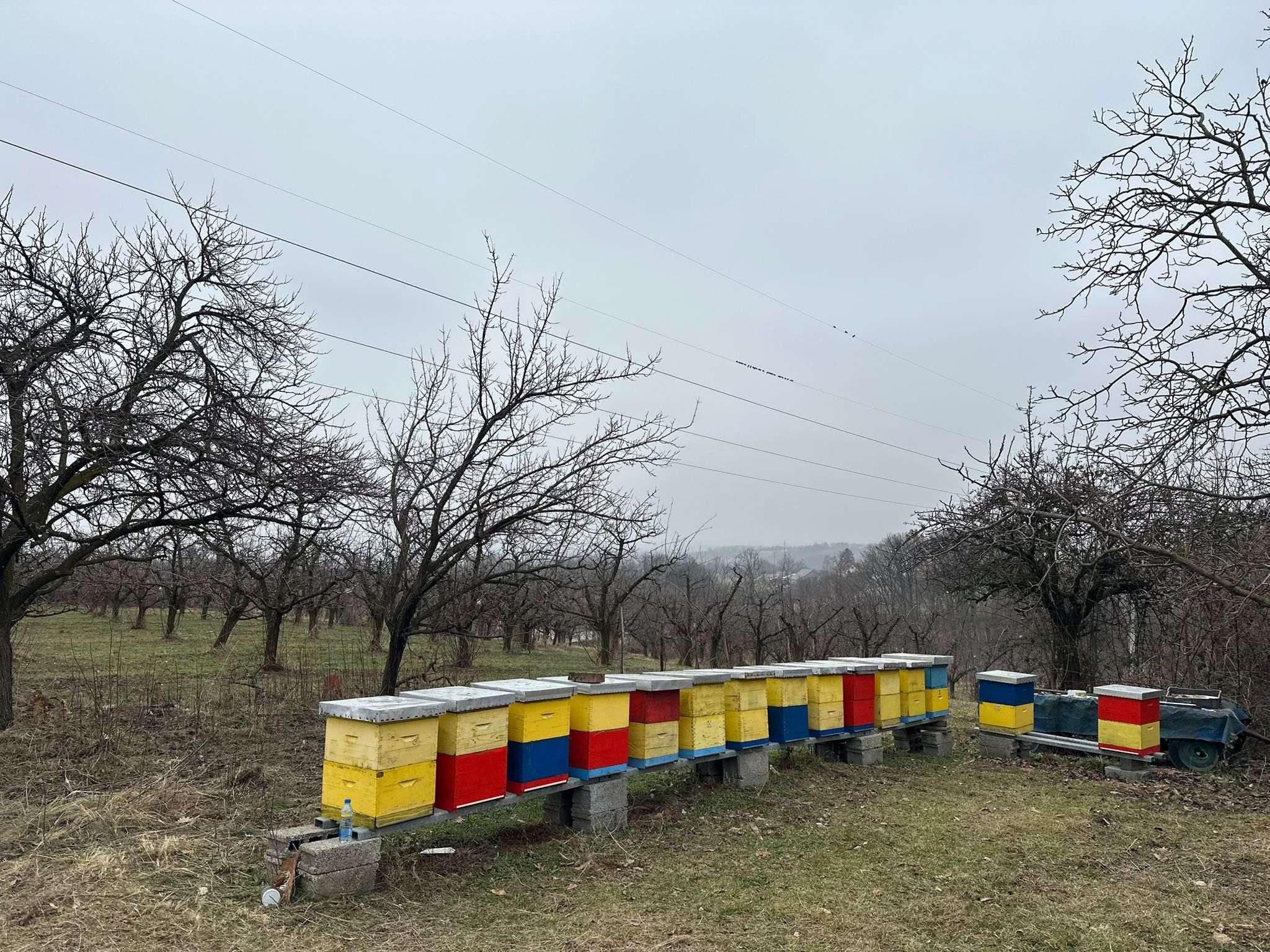 GLAS ZAPADNE SRBIJE - Počinju obuke za dobijanje sertifikata profesionalnog korisnika za zaštitu bilja Evo šta kaže struka a šta voćari