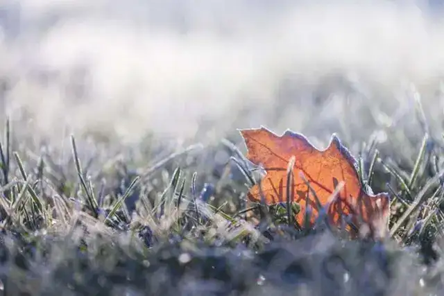 GLAS ZAPADNE SRBIJE - Jutro tmurno popodne razvedravanje