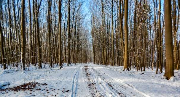 GLAS ZAPADNE SRBIJE - U Srbiji danas oblačno i toplije temperatura do 13 stepeni