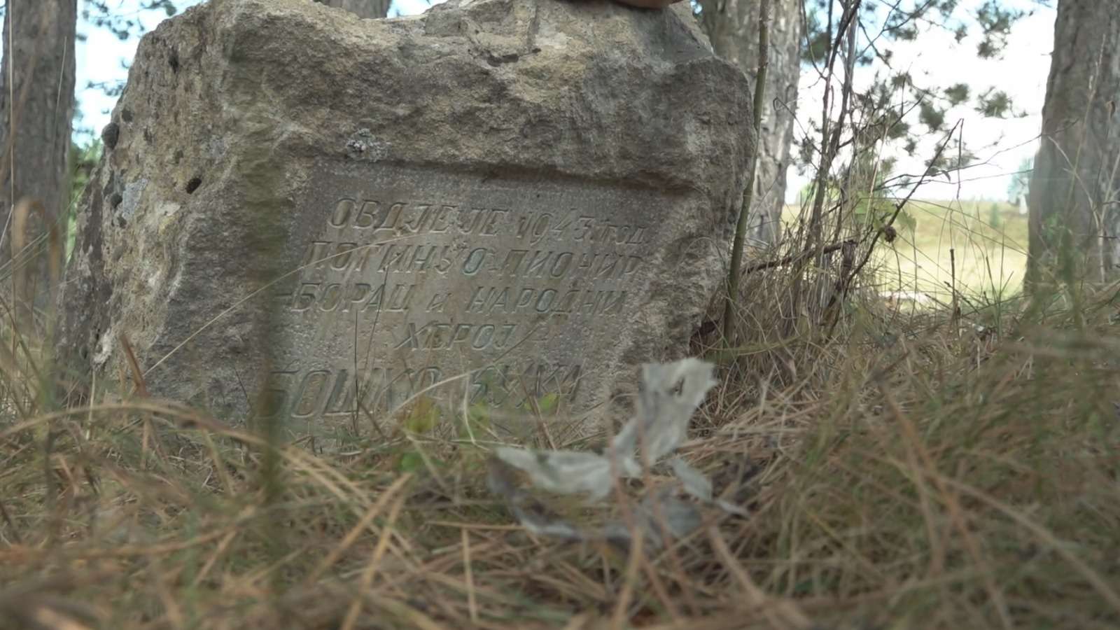 1734953302476
