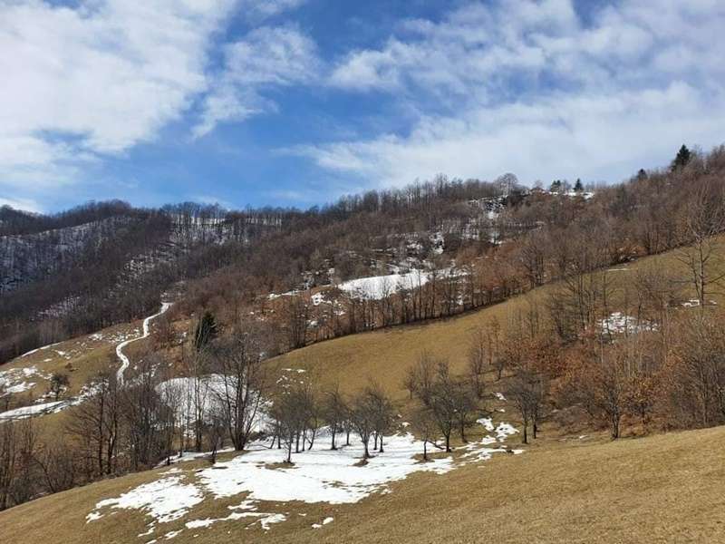 GLAS ZAPADNE SRBIJE - Danas pred nama prolećne temperature od srede u postepenom padu