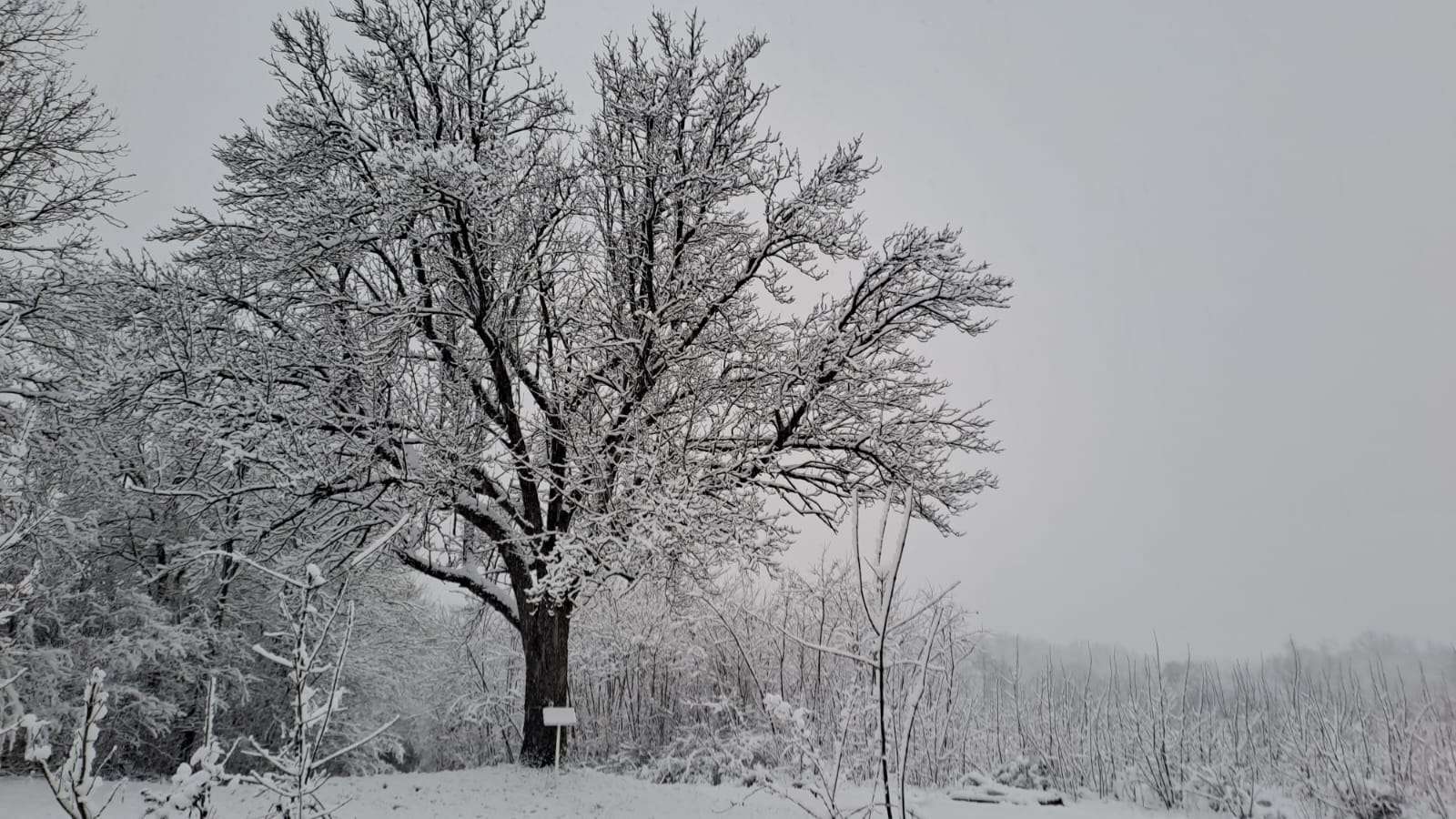 GLAS ZAPADNE SRBIJE - U Srbiji danas oblačno temperatura do 6 stepeni