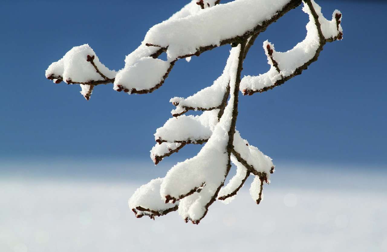 GLAS ZAPADNE SRBIJE - U Srbiji danas pretežno vedro temperature od 6 do 6 stepeni