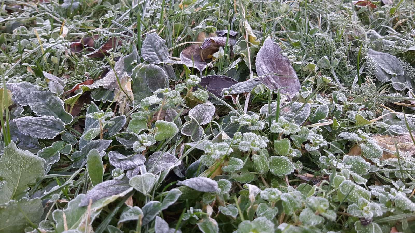 GLAS ZAPADNE SRBIJE - Ujutru maglovito tokom dana sunčano temperatura od 6 do 6 stepeni