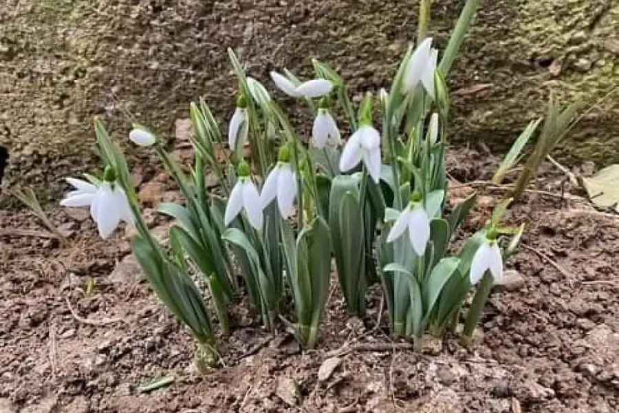 GLAS ZAPADNE SRBIJE - U Srbiji danas temperatura do 16 stepeni