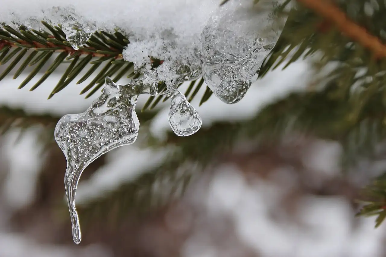 GLAS ZAPADNE SRBIJE - Bez snega u novogodišnjoj noći vedro temperatura od 1 do 3 stepena